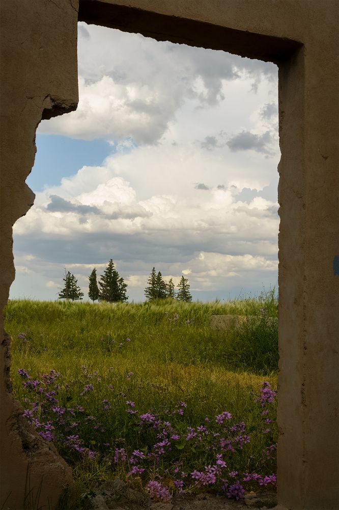 Photograph by Awad hyaitek