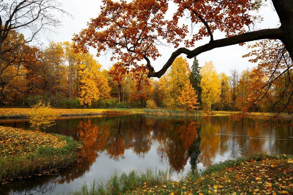 Photograph by Дьяченко Алёна