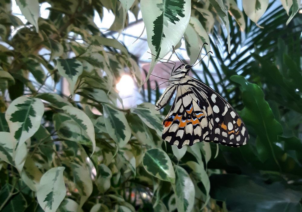 Photograph by nafas jouri