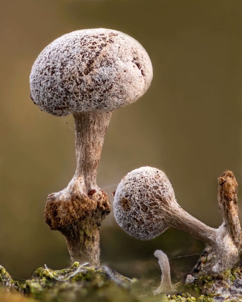 Photograph by Антон Кубышкин