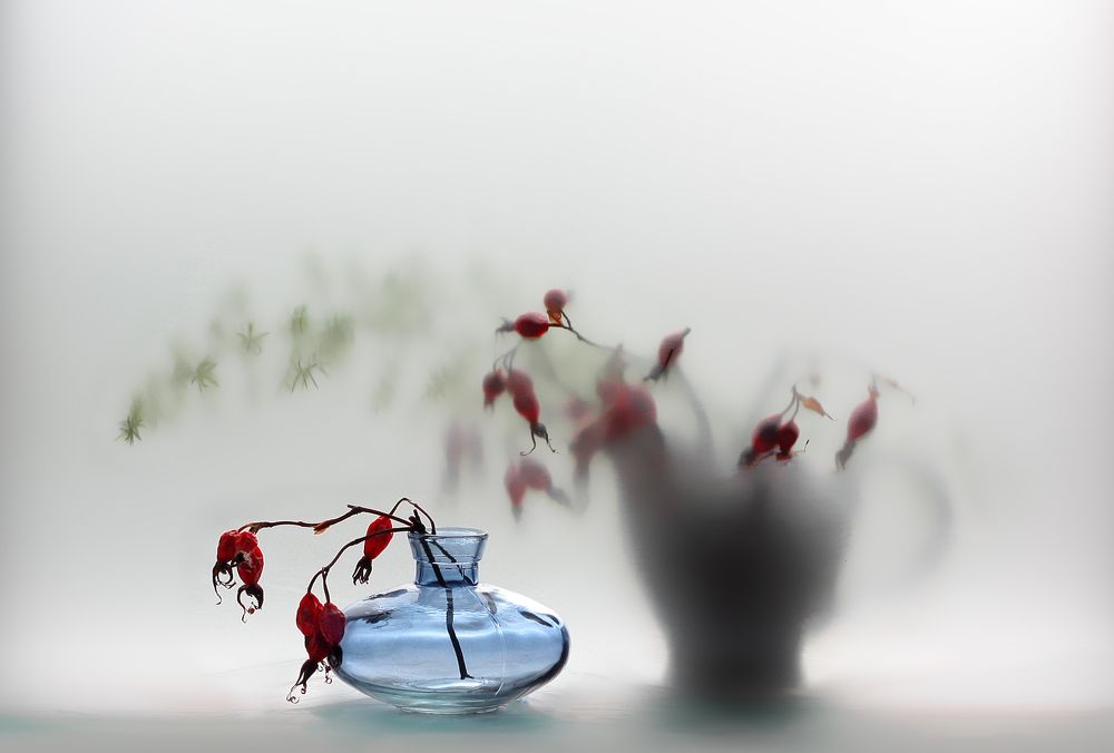 Photograph by Заболотская Ольга