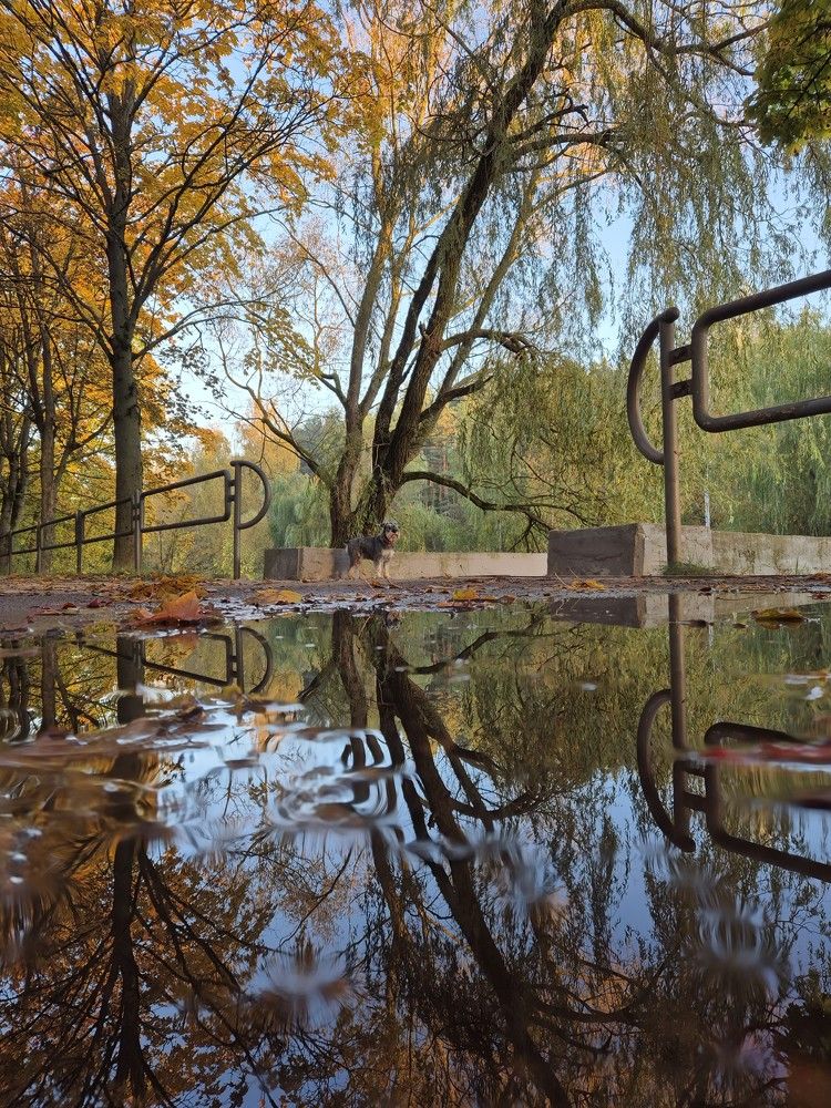 Photograph by Нина Старкова