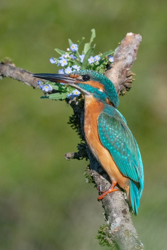 Фотография автора Татьяна Ливеровская