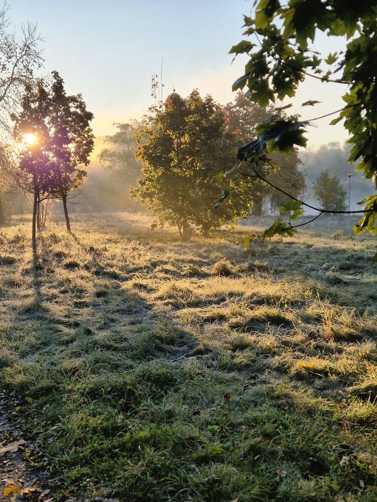 Photograph by Нина Старкова