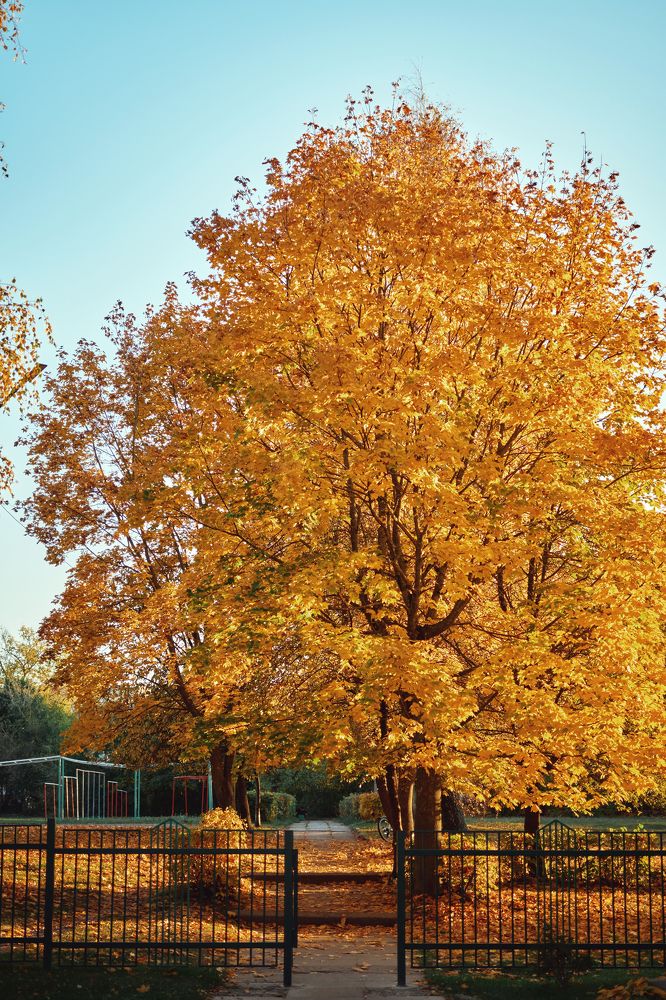 Photograph by Валерий Зенович