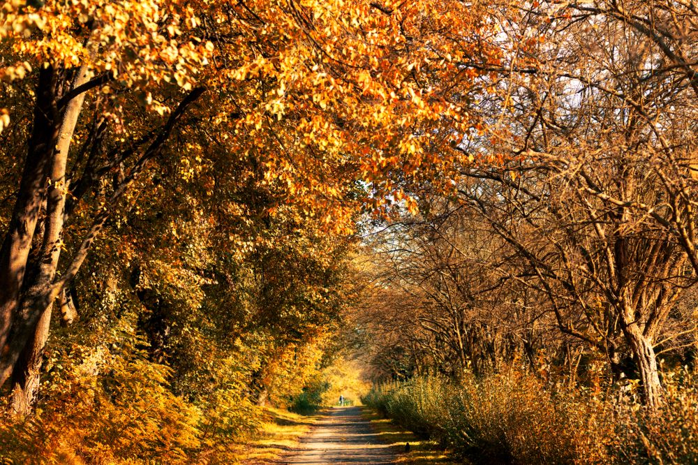 Photograph by Людмила Колесниченко