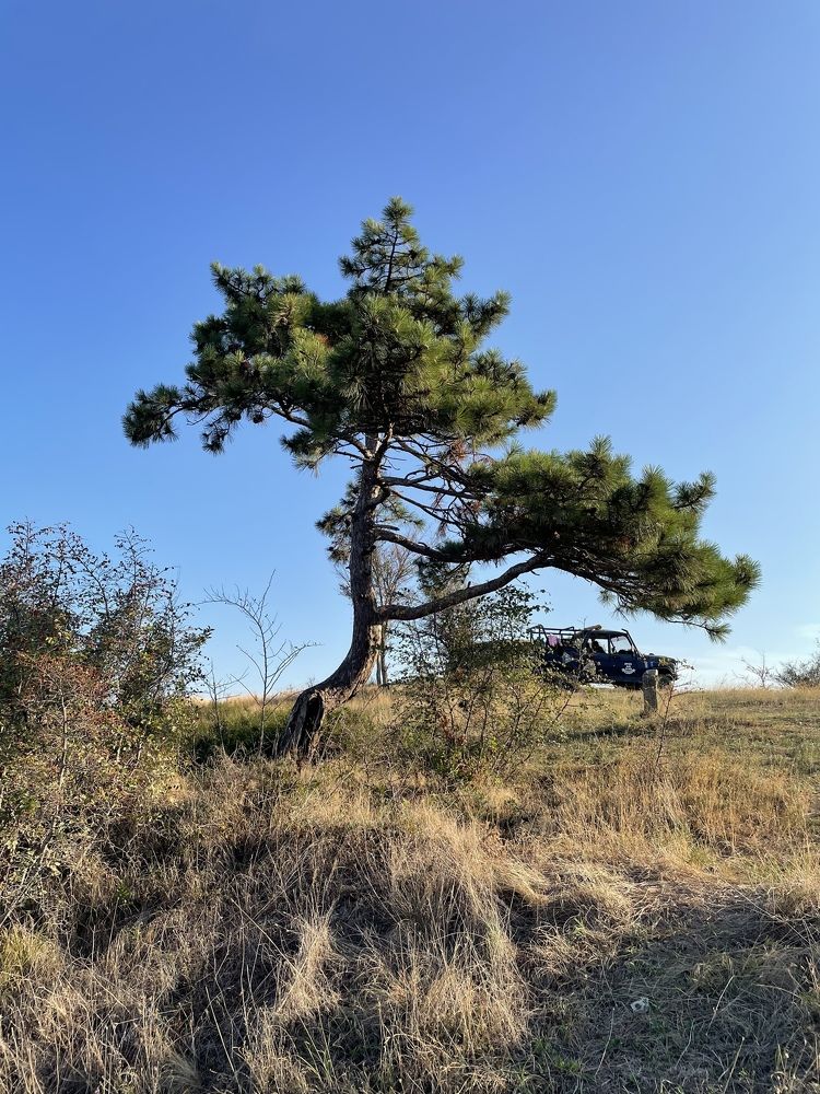 Photograph by Татьяна Токарева