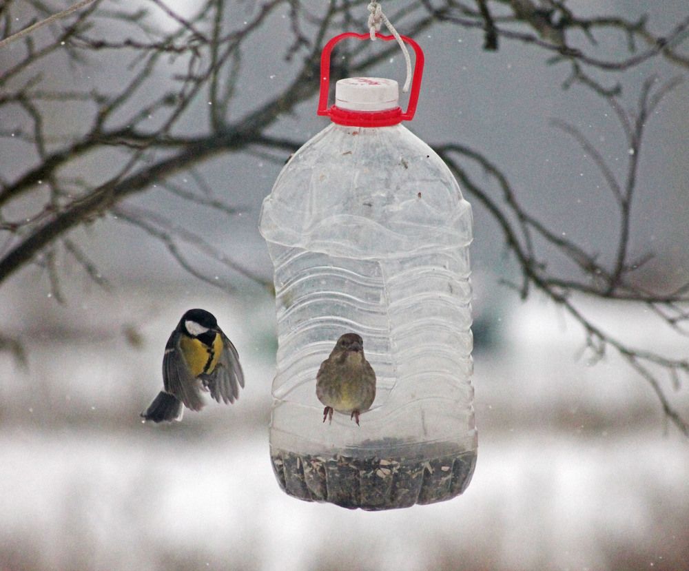 Photograph by Алла Бойко