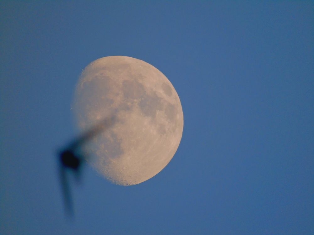 Photograph by Дмитрий Симагин