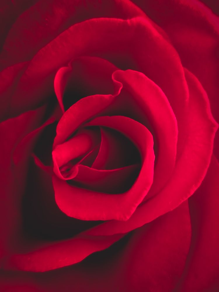 Photograph by Asmaa ELTouny