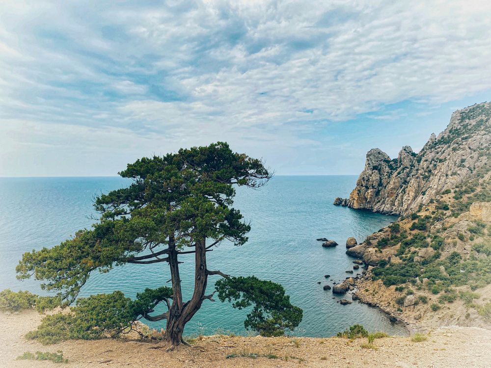 Photograph by Вадим Качанов