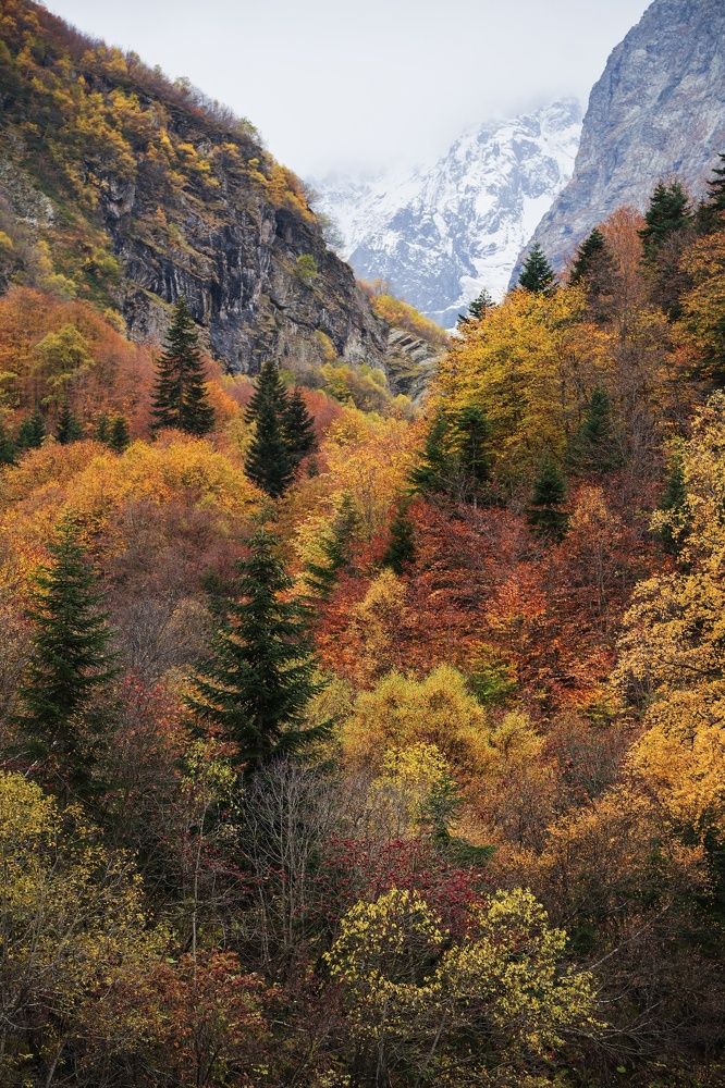 Фотография автора Светлана Зимина