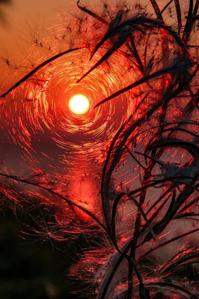 Photograph by Виктория Лобанова