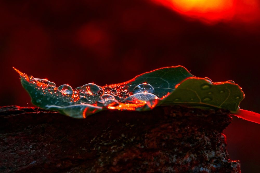 Photograph by Виктория Лобанова