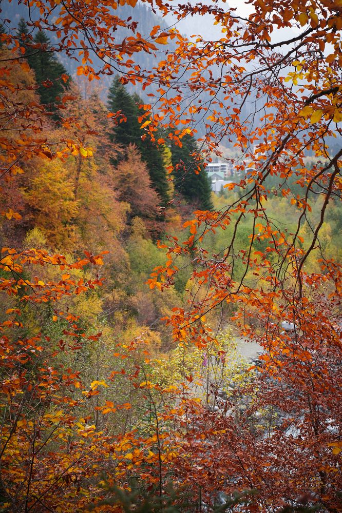 Фотография автора Светлана Зимина