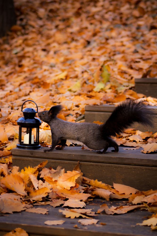 Photograph by Анна Осинцева