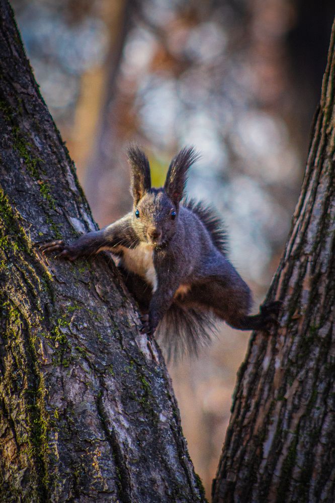 Photograph by Анна Осинцева