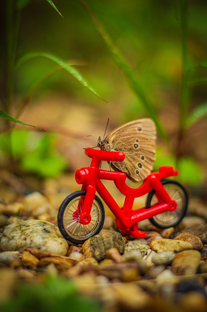 Photograph by Анна Осинцева