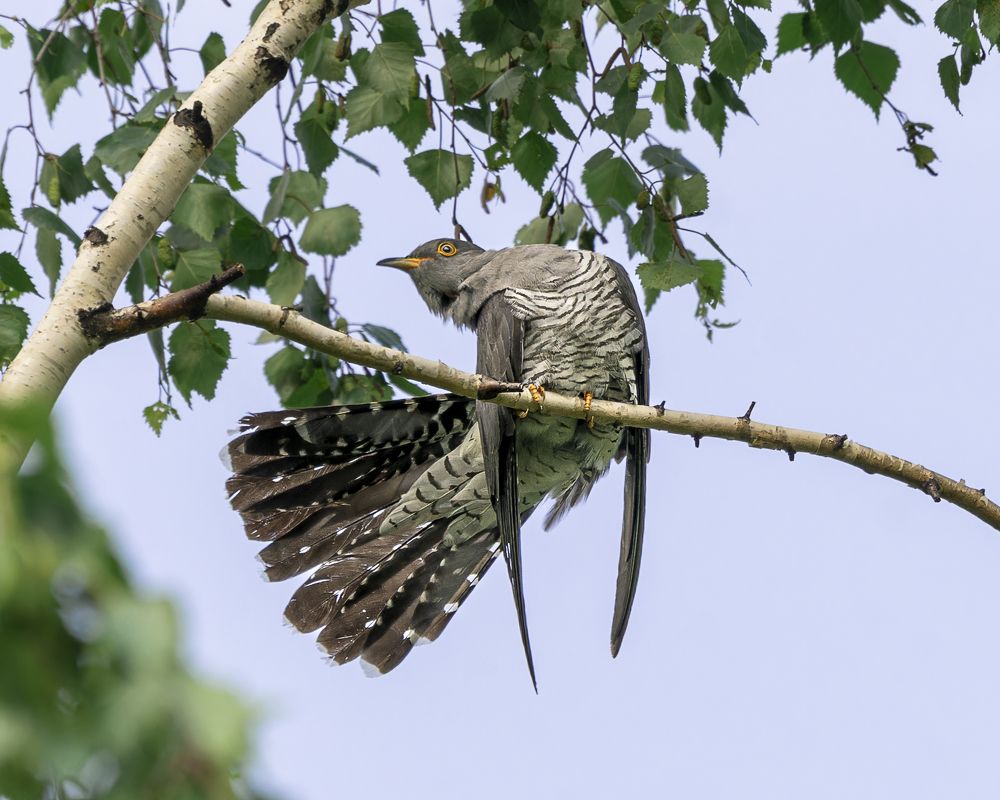 Photograph by Екатерина Дубровская