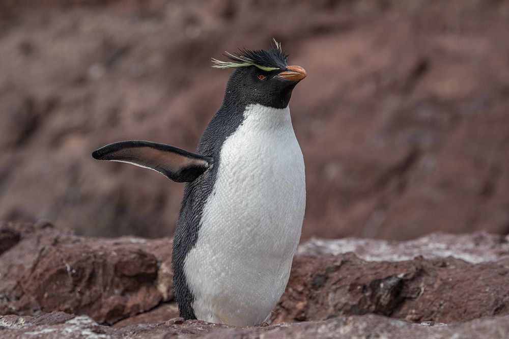 Фотография автора Marina Martorelli