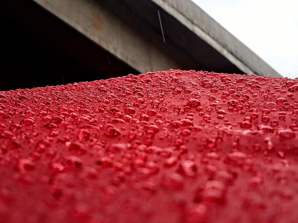 Photograph by Mohammed Rifatul Alam Siam