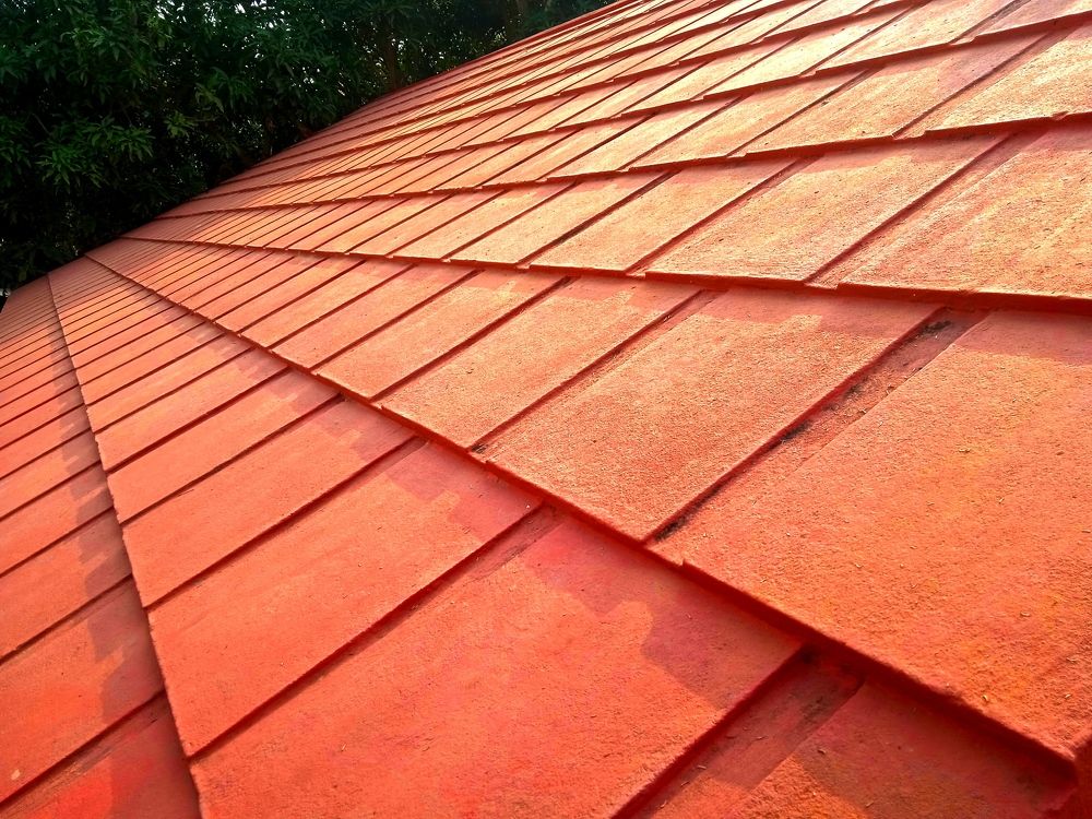 Photograph by Mohammed Rifatul Alam Siam