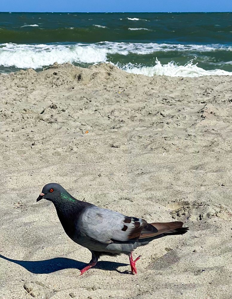 Photograph by Can O. Gunay