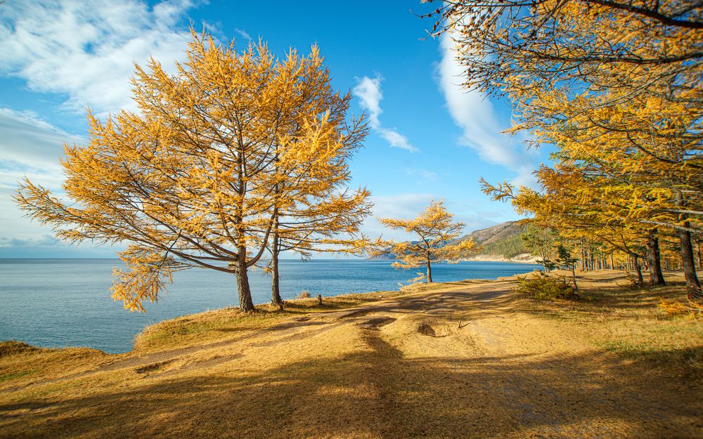 Фотография автора Igor Ferrum