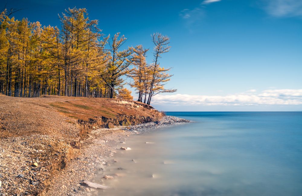 Фотография автора Igor Ferrum