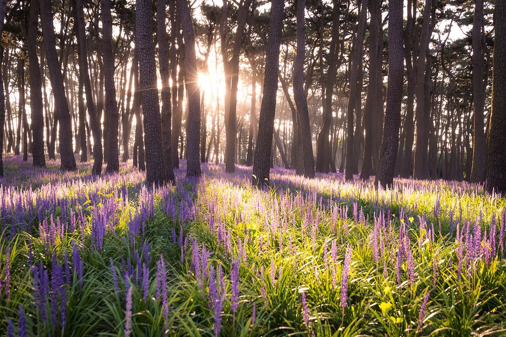 Photograph by Vu Van Minh