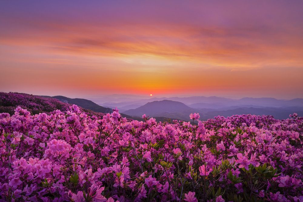 Photograph by Vu Van Minh