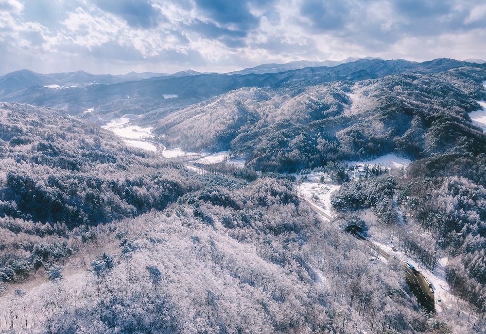 Photograph by Vu Van Minh