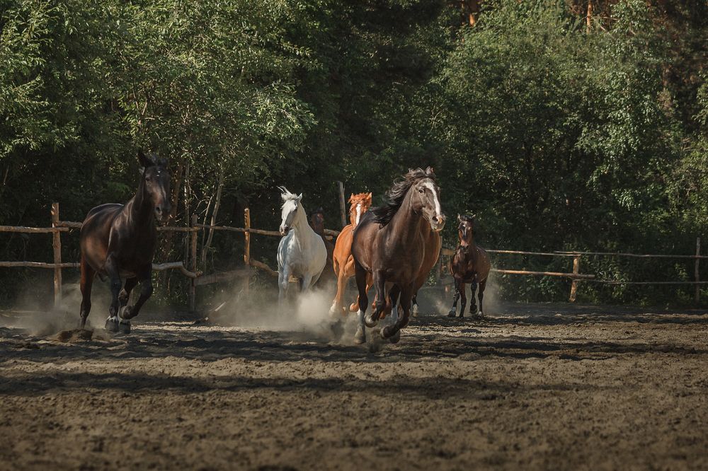 Photograph by Ольга Бурмистрова