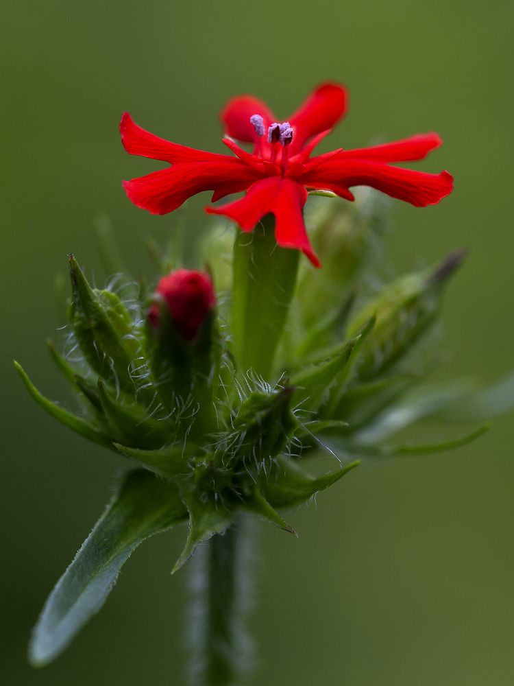 Photograph by Олег Тетерин