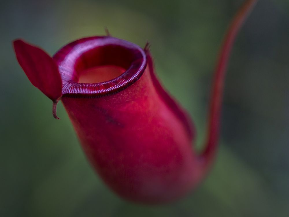 Photograph by Олег Тетерин