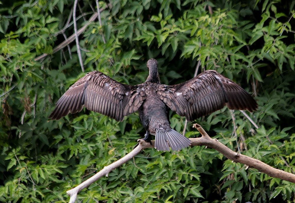 Фотография автора АЛЕКСАНДР ЦЫГЕЛЬНЮК