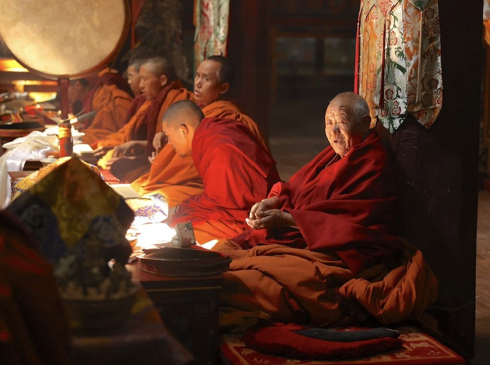 Мудрый взгляд