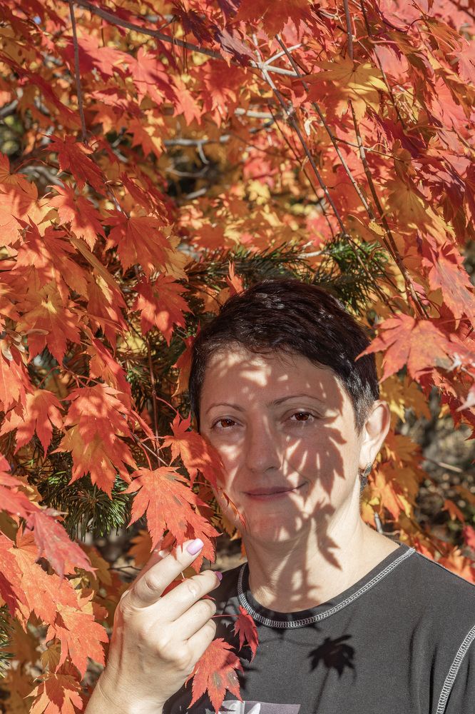 Фотография автора Denis Kotrenko