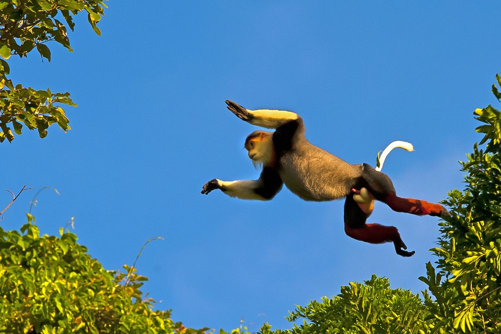 Photograph by Hà Thạnh