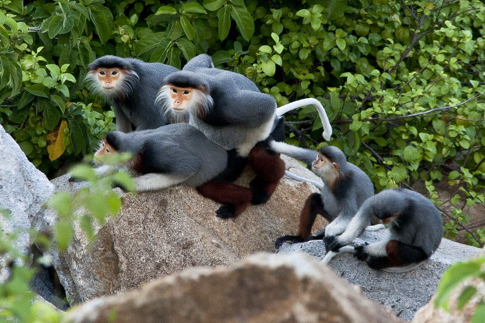 Photograph by Hà Thạnh