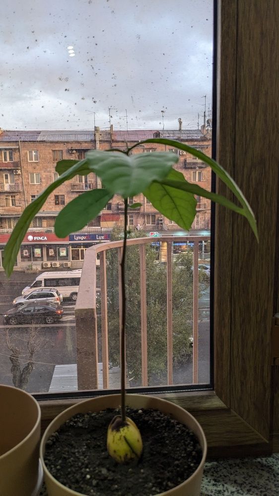 Photograph by Lilit Petrosyan