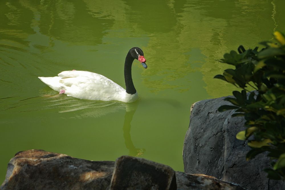 Photograph by Людмила Савчук