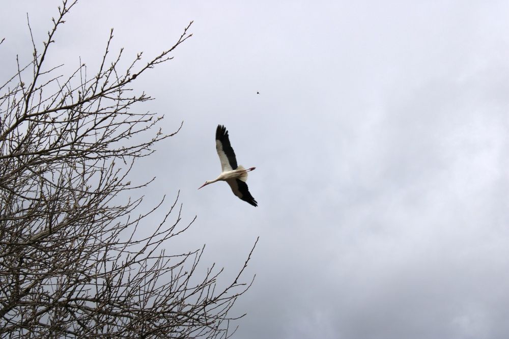 Photograph by Olga Bagaeva