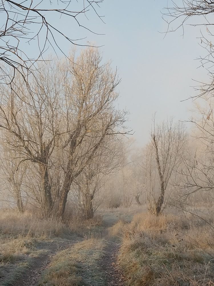 Photograph by Юлия Фирман