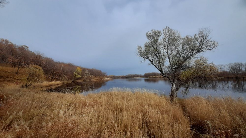 Photograph by Виктор Сёмушкин