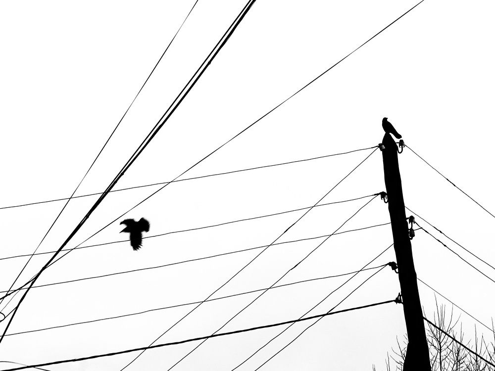 Photograph by Александра Ламанова