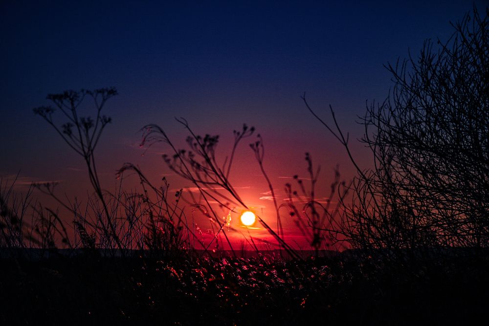 Photograph by Наталья Струц