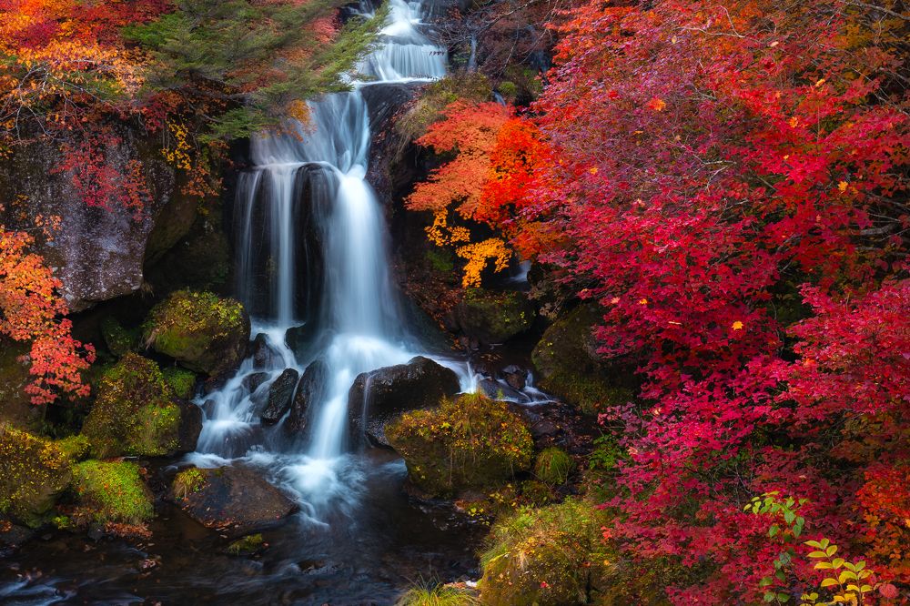 Photograph by Luong Quyen