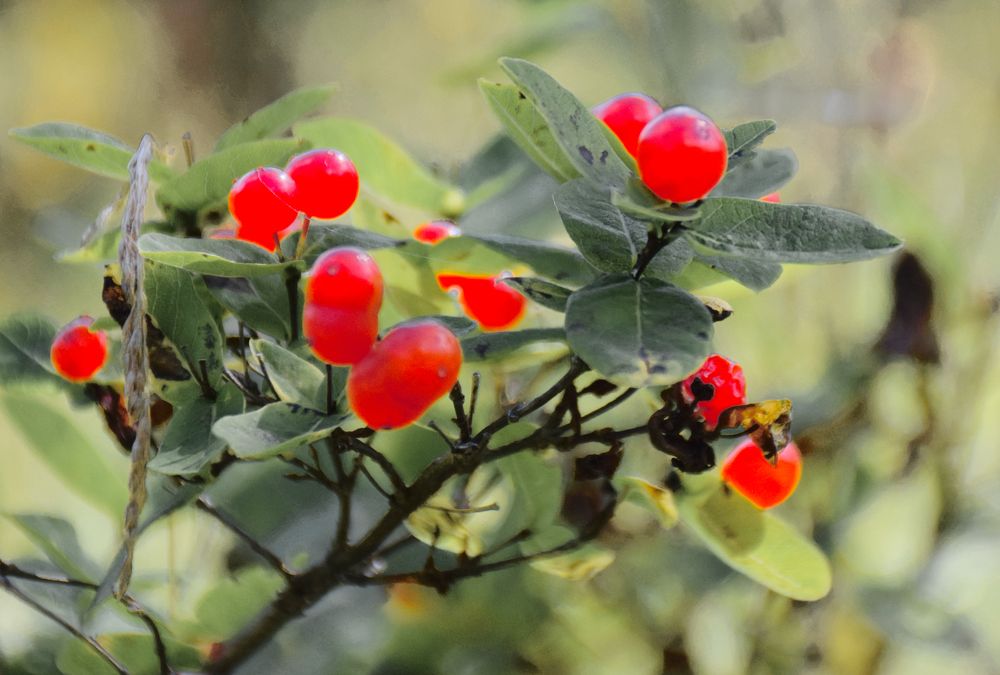 Photograph by Роман Блинов