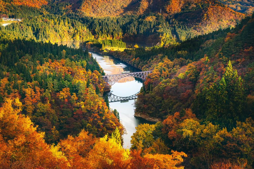 Фотография автора Luong Quyen